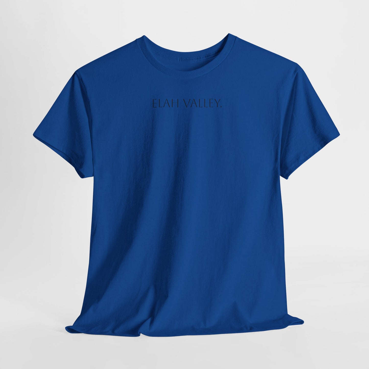 Kaizen David v Goliath T-shirt
