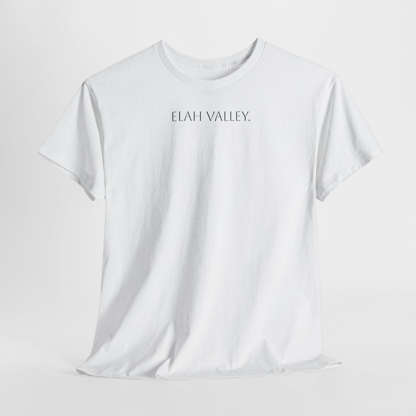 Kaizen David v Goliath T-shirt