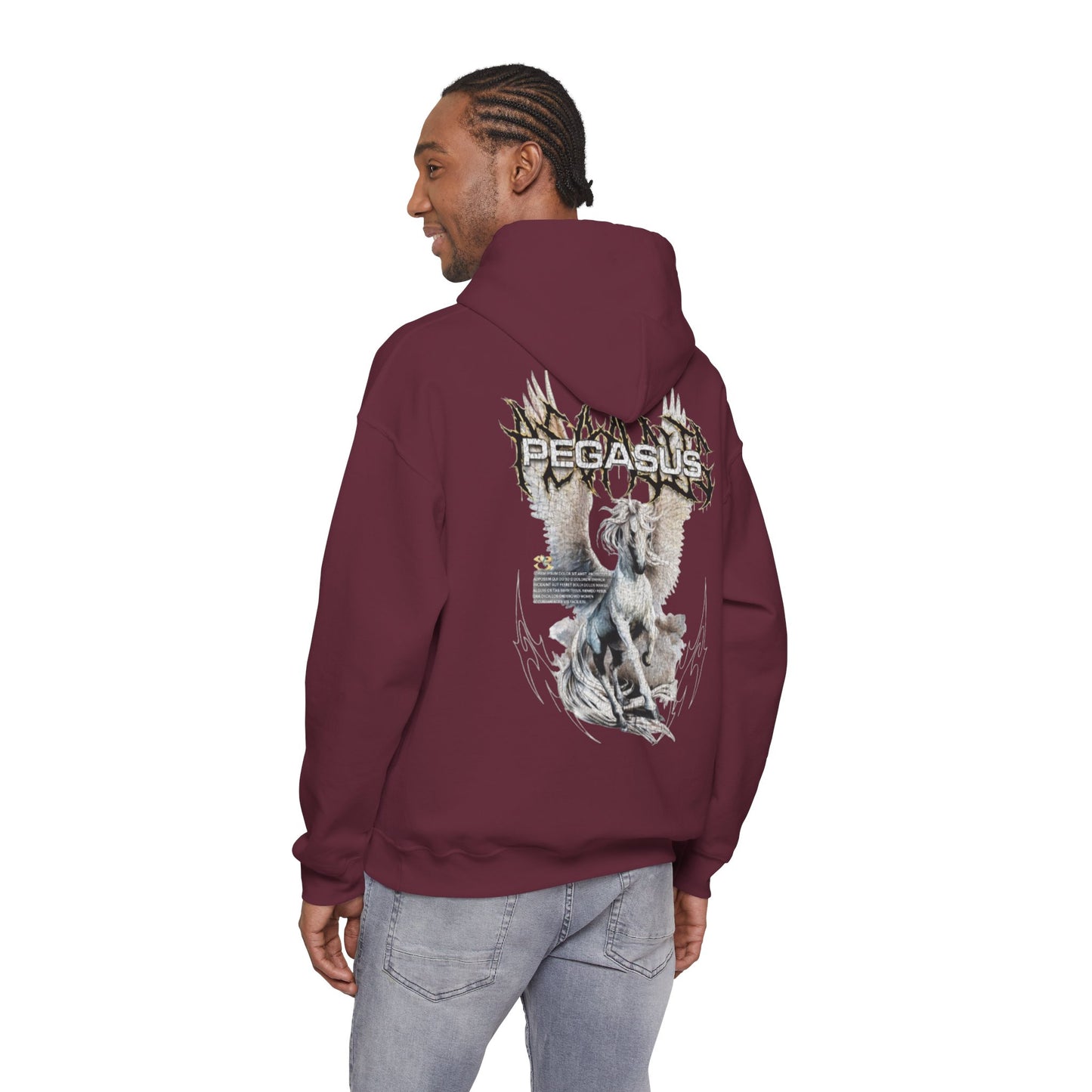 Kaizen 'Pegasus' Hoodie