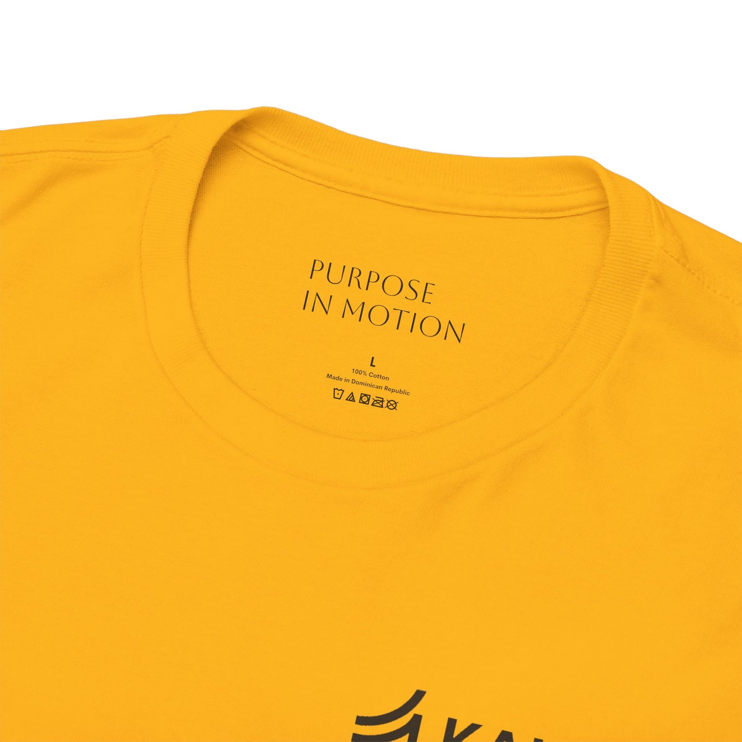 Ikigai T-Shirt