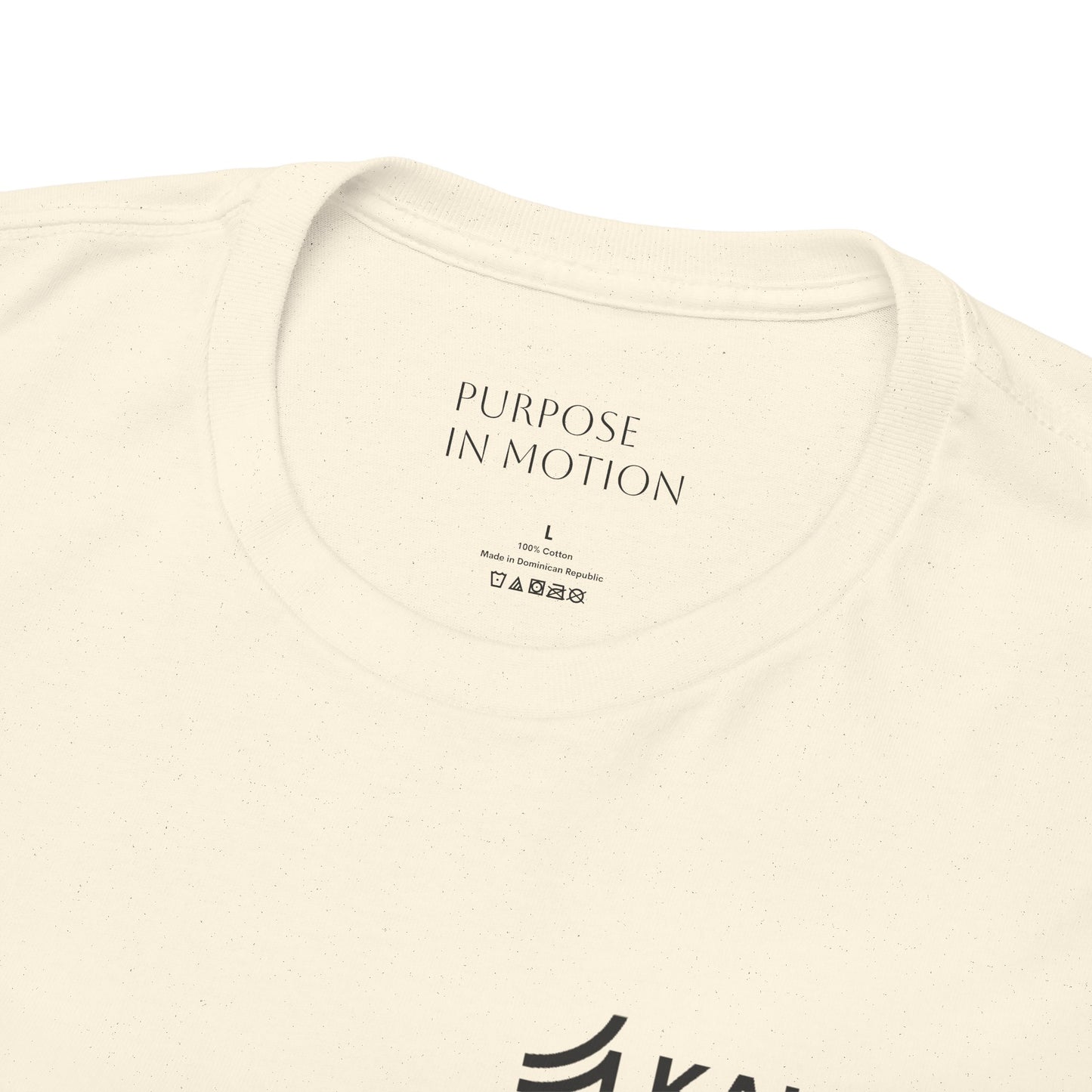 Ikigai T-Shirt